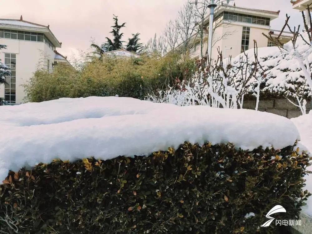 -16.3℃！山东今冬气温再创新低，你准备好迎接这场寒潮了吗？  第6张