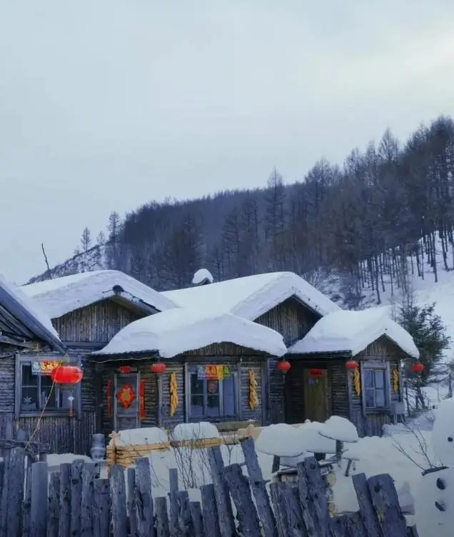 成都雪村没雪是铺棉花？现关闭，避雷还是惋惜？