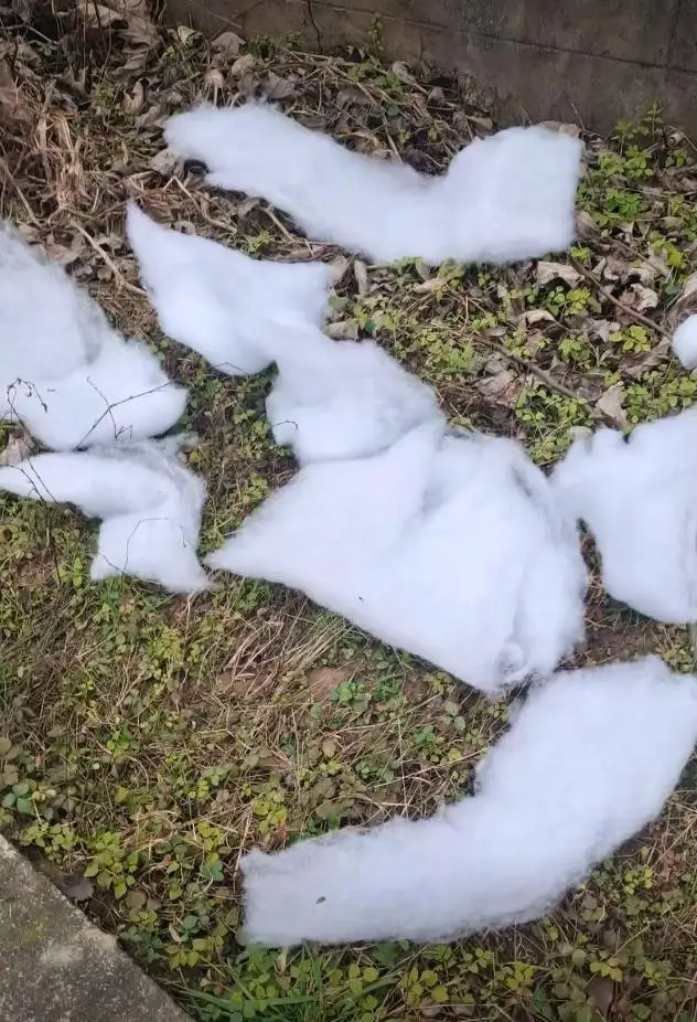 成都雪村没雪是铺棉花？现关闭，避雷还是惋惜？  第3张