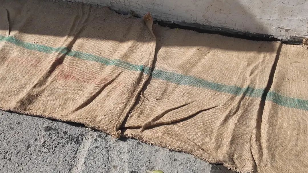 寒潮来袭，零下4℃！黄浦区环卫工人凌晨5点出动，你还在家里窝着吗？  第4张