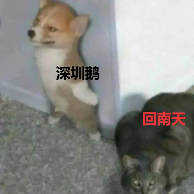 9日早晨气温骤降至7℃，你准备好洋葱式穿衣法了吗？  第5张