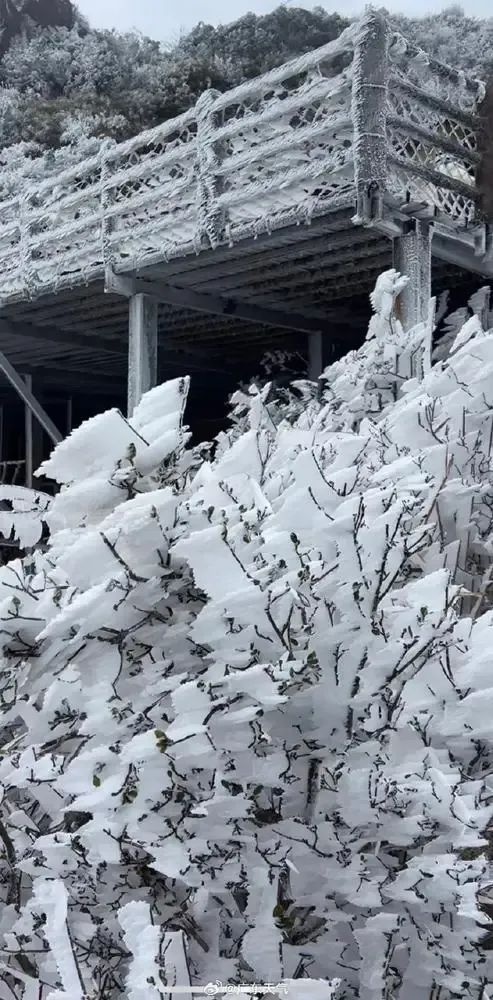 广东惊现北国风光！连山金子山顶竟低至-5℃，你准备好迎接更冷的挑战了吗？  第2张