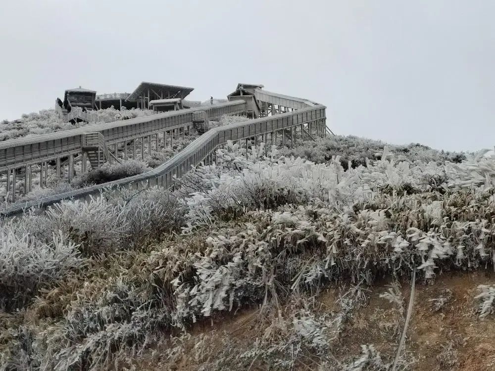 广东惊现北国风光！连山金子山顶竟低至-5℃，你准备好迎接更冷的挑战了吗？  第4张