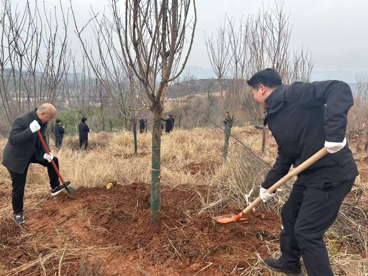 春风化雨，植树节你参与了吗？郧西县全民植树活动火热进行中  第2张