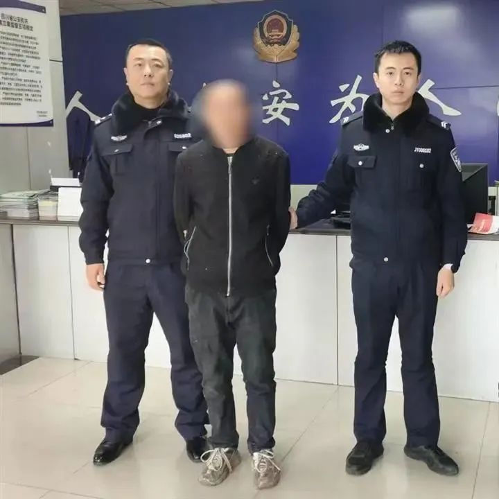 村民价值数千元赛鸽被盗，贼竟搭梯入户作案？  第3张