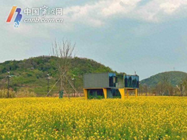 宁波天气开启过山车模式！昼夜温差超20℃，你准备好了吗？  第1张