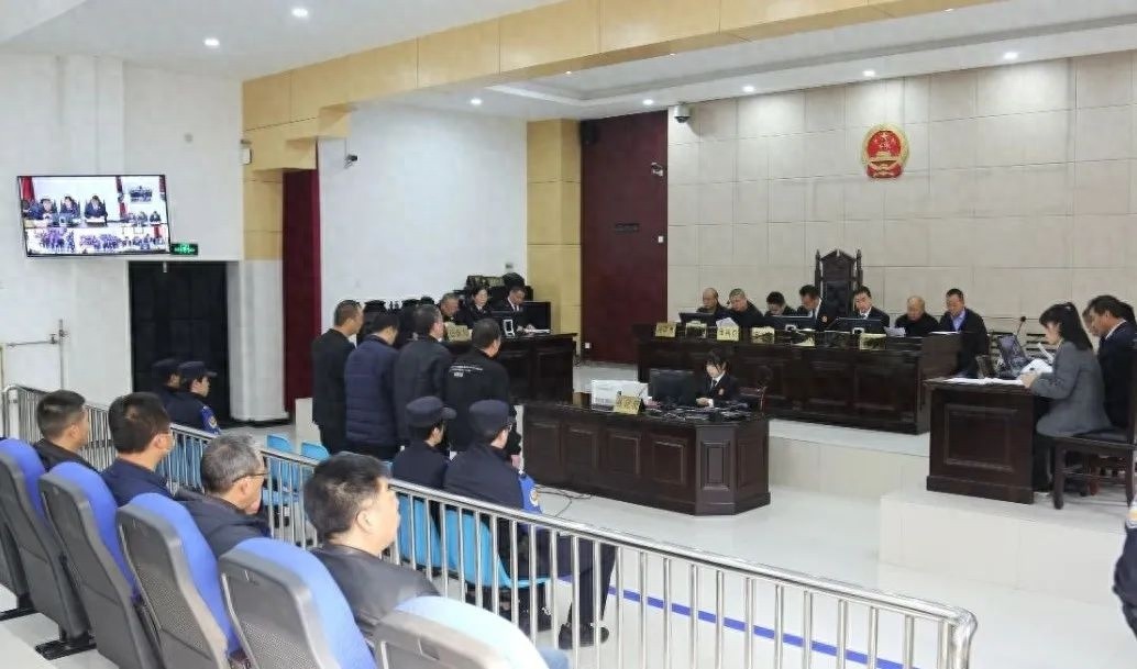 荒地处处，为何此处独栽小树？非法炼金背后真相惊人