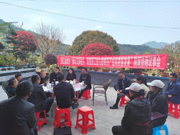 绥江县政协茶产业议事活动!有何独特之处?
