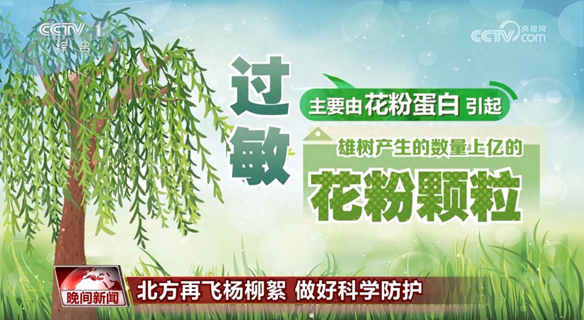 气温攀升飞絮飘！杨柳飞絮非过敏原却致敏？如何防范？