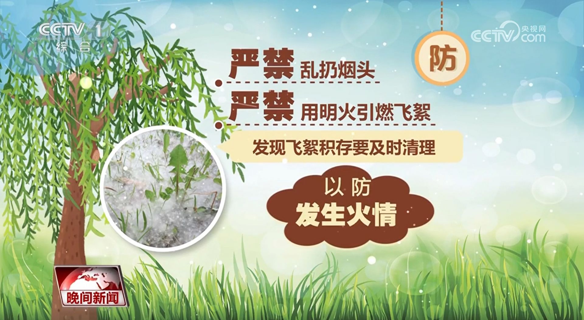 气温攀升飞絮飘！杨柳飞絮非过敏原却致敏？如何防范？  第2张