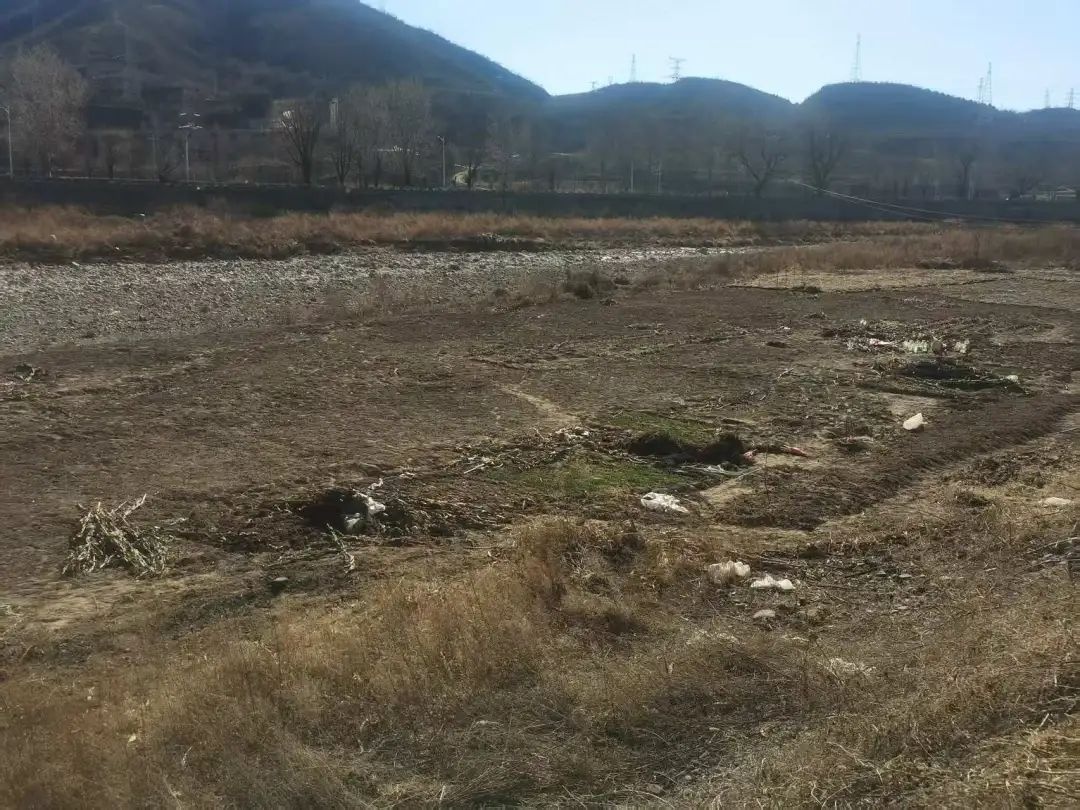 公益诉讼护河防汛!河道为啥不能种高秆作物?  第6张