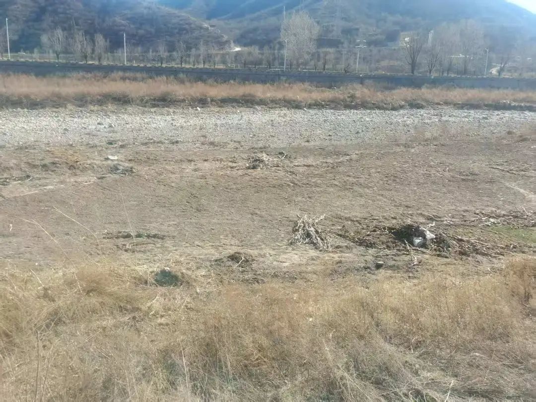 公益诉讼护河防汛!河道为啥不能种高秆作物?  第7张