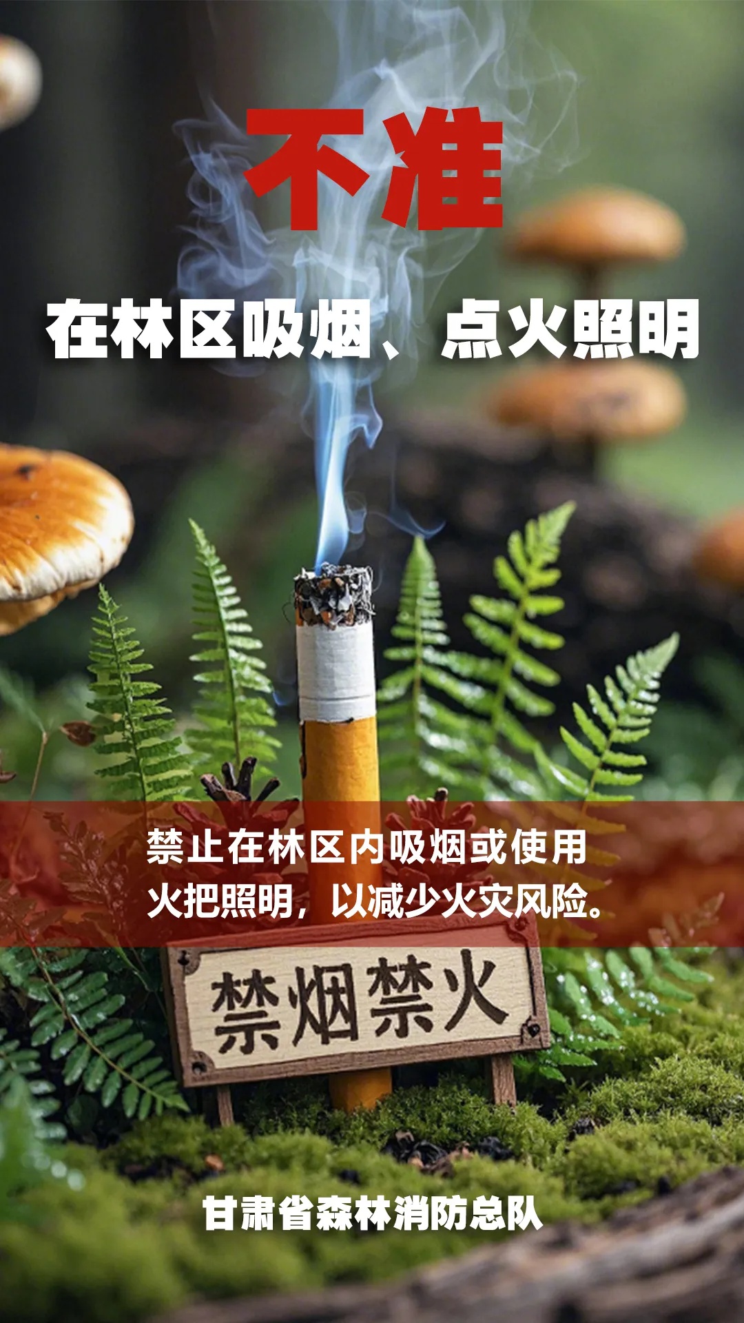 平凉春季防火严峻，一个用火不慎就会毁林海?!  第4张