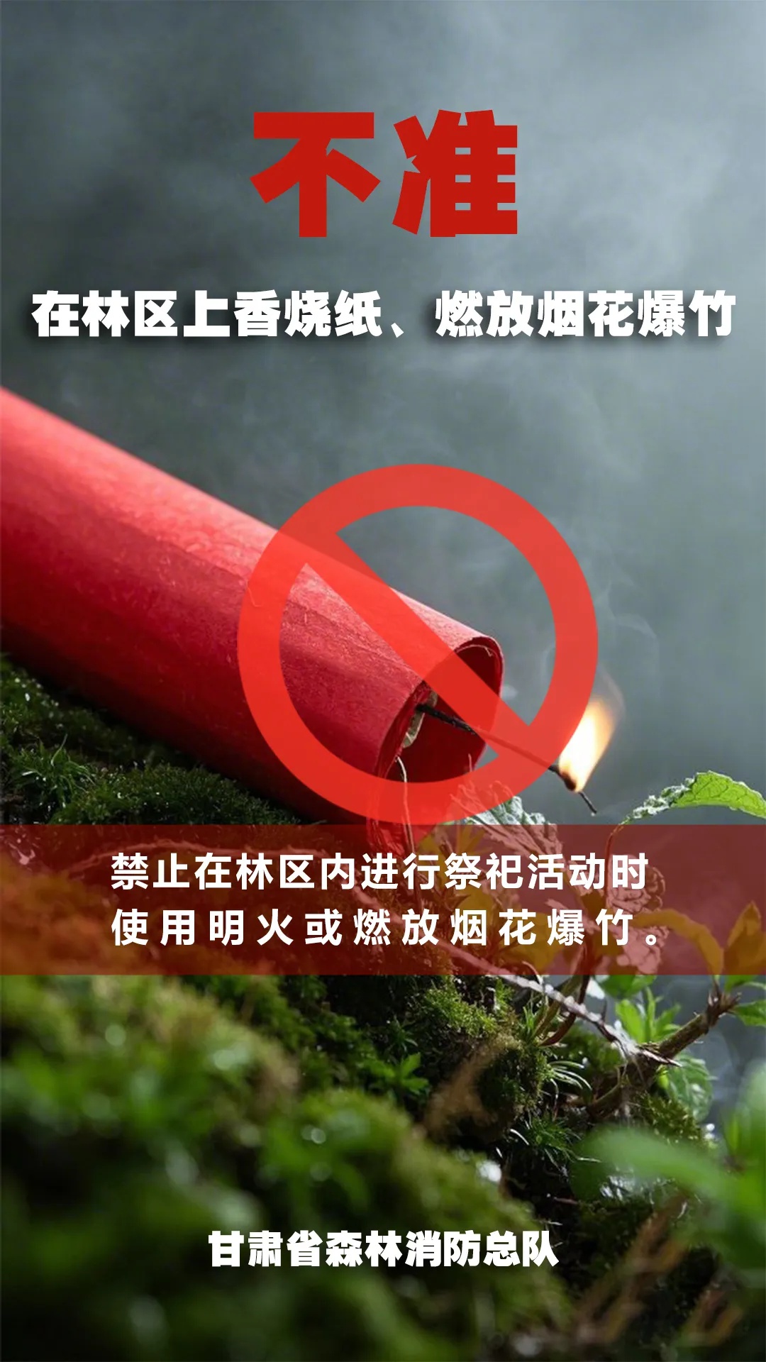 平凉春季防火严峻，一个用火不慎就会毁林海?!  第6张