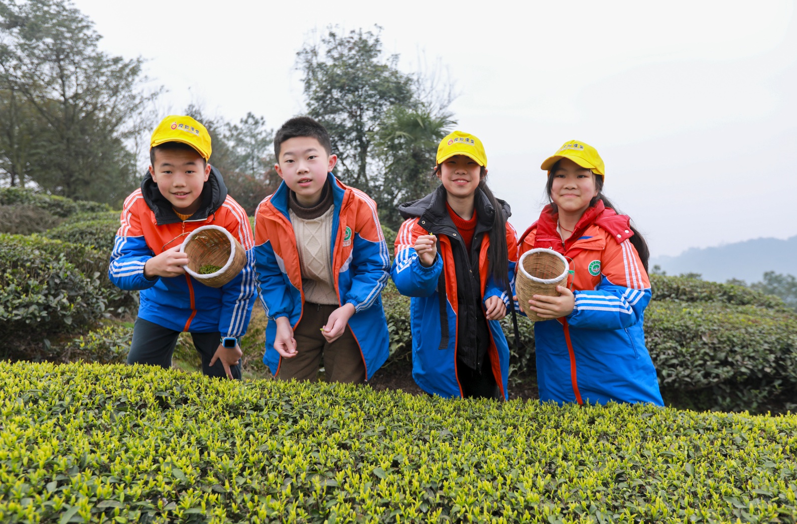 荣县春季茶学研学之旅：小茶人们收获了啥？  第2张