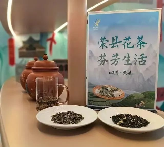 荣县春季茶学研学之旅：小茶人们收获了啥？  第5张