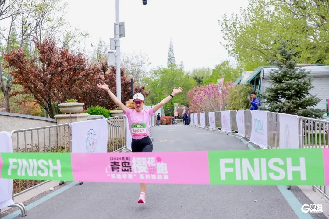 ?2025青岛女子樱花跑开启报名！新升级有何看点？  第3张