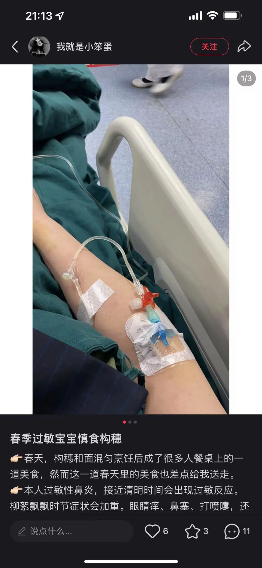 阜阳春日美食楮不揪，为何有人吃了进ICU?  第3张