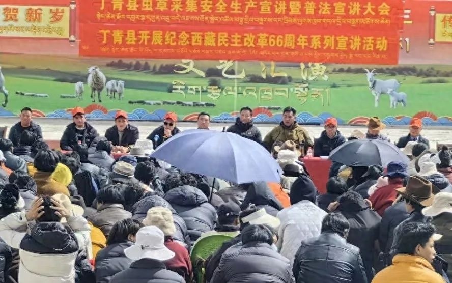 虫草采集竟会违法？巴达乡这场宣讲活动让村民恍然大悟