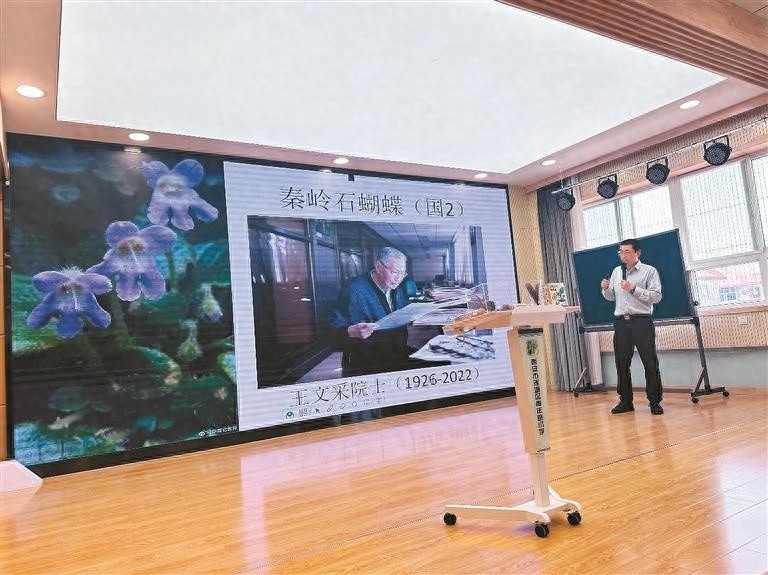 种子竟能72变？科学魔法师带你揭秘生命的奇妙之旅