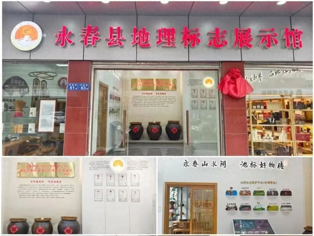 泉州市首个地理标志展示馆开馆！特色展品背后藏着啥秘密？