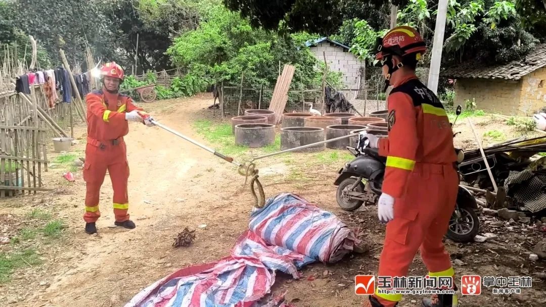 村民家中杂物房惊现蛇踪！拨打119后消防员竟捕获多条蛇？  第3张