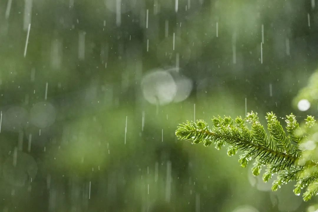 天气多变！最高气温跌落20度，防雷防风你做对了吗？