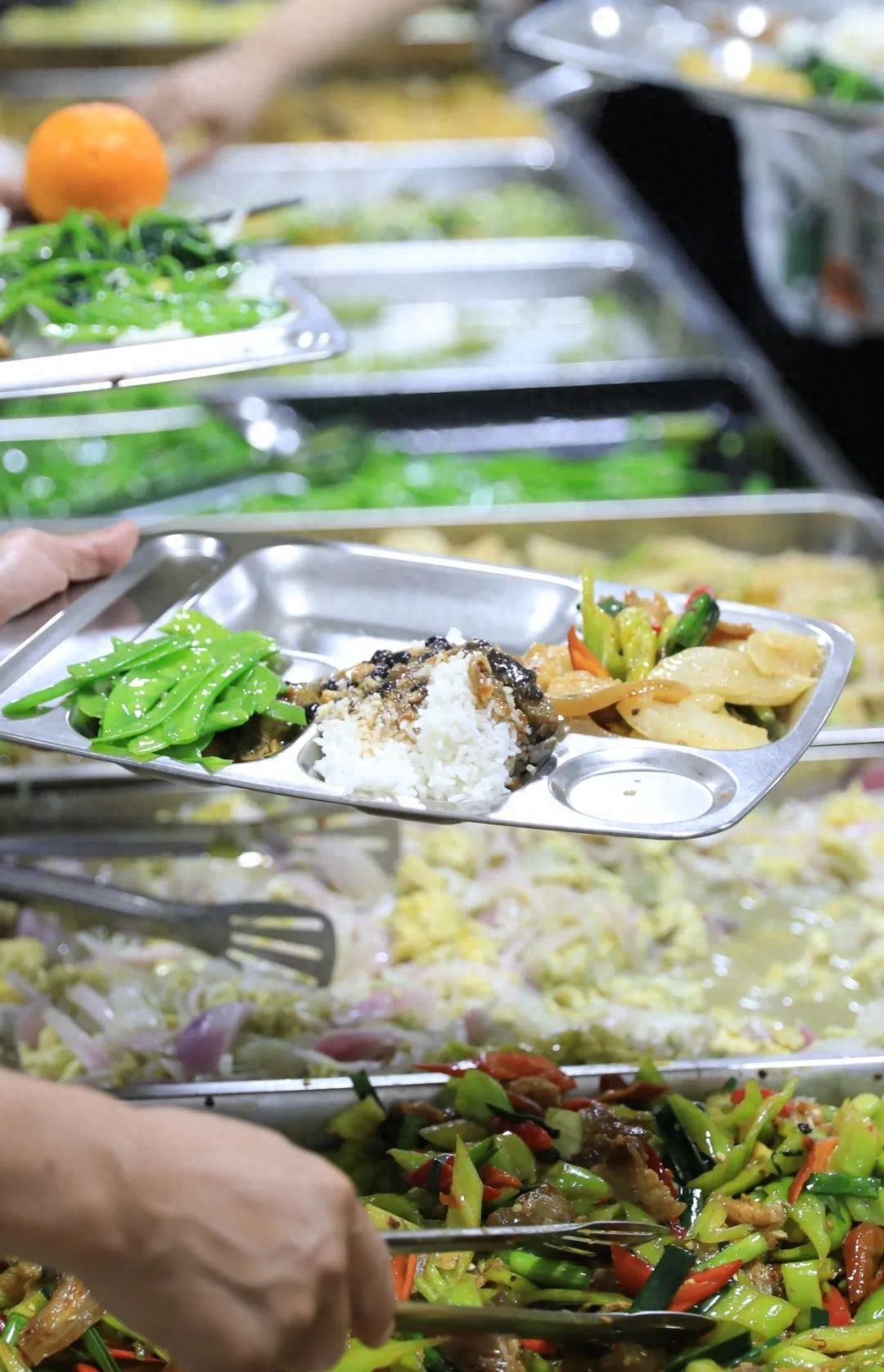 5月8日起天涯区机关食堂面向社会开放！这是真的吗？