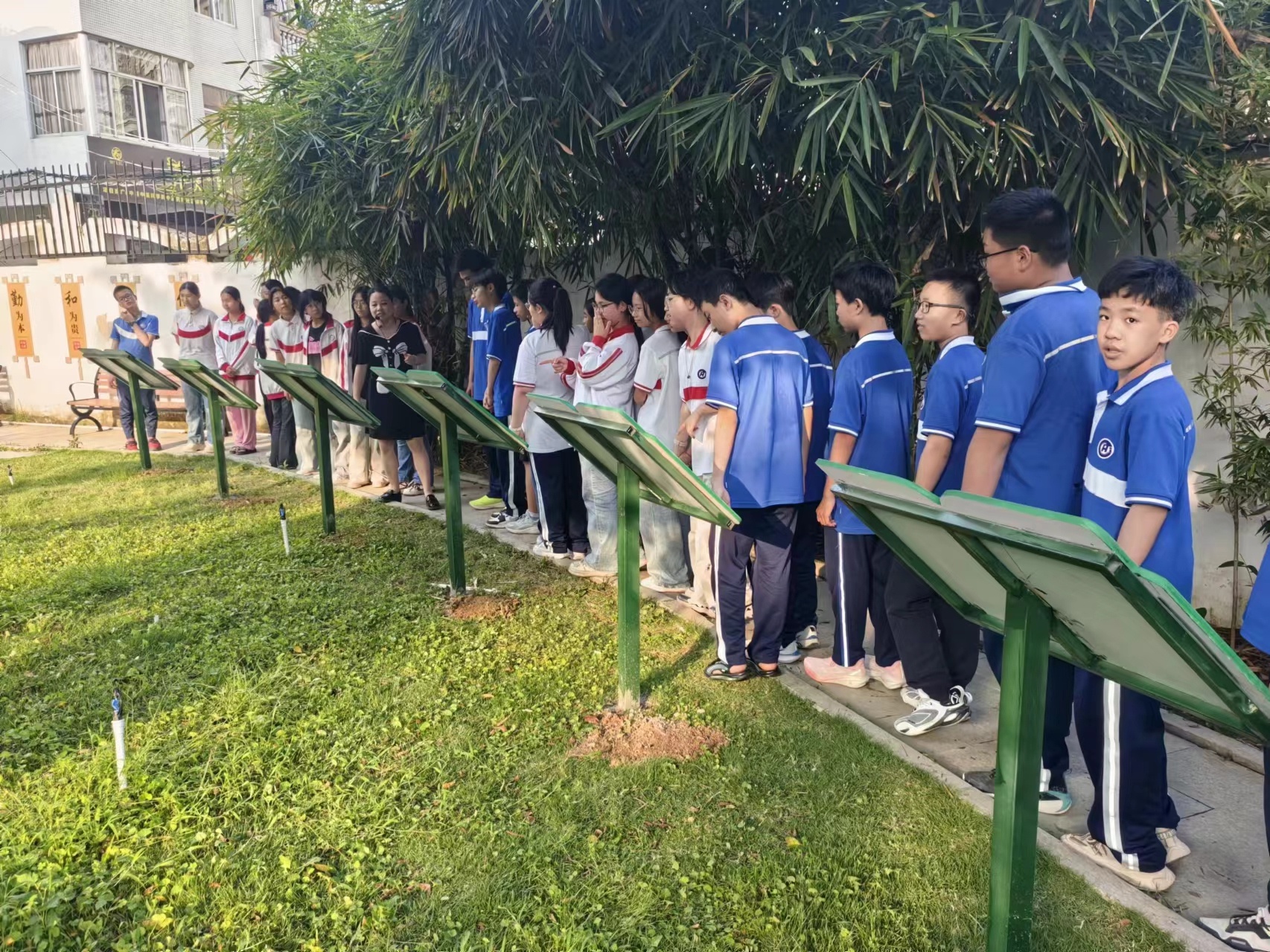 免费驱鸟彩带优势惊人！使用便捷、效果立竿见影？快来看  第3张
