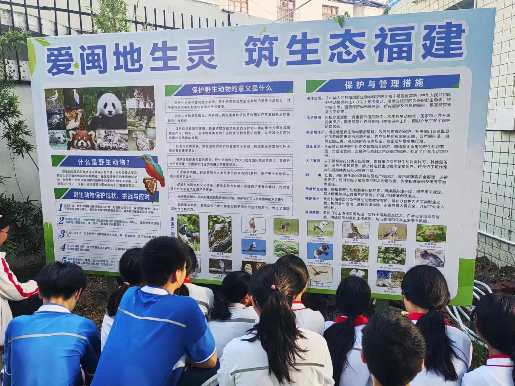 免费驱鸟彩带优势惊人！使用便捷、效果立竿见影？快来看  第4张