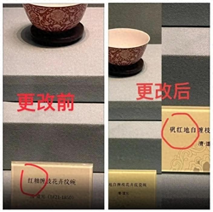 高中生竟能给博物馆展品纠错？文博服务还有哪些提升空间