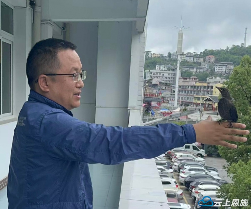 林业局工作人员成功救助受伤八哥鸟，背后故事你知道吗？  第2张