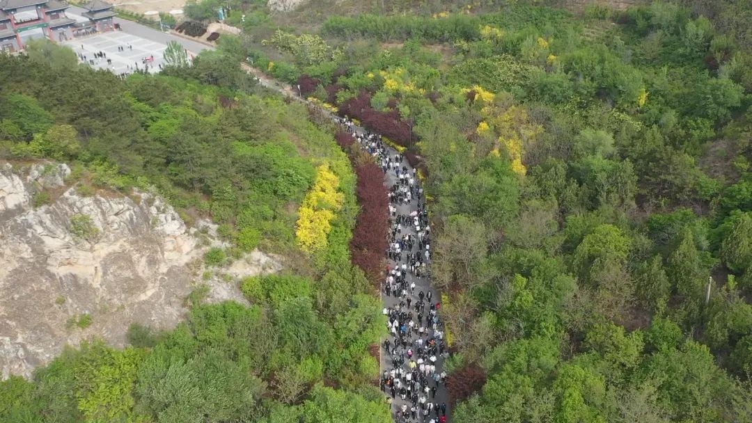 5月8日这场市直机关青年登山比赛，2200余人参加！你知道有多精彩吗？  第3张