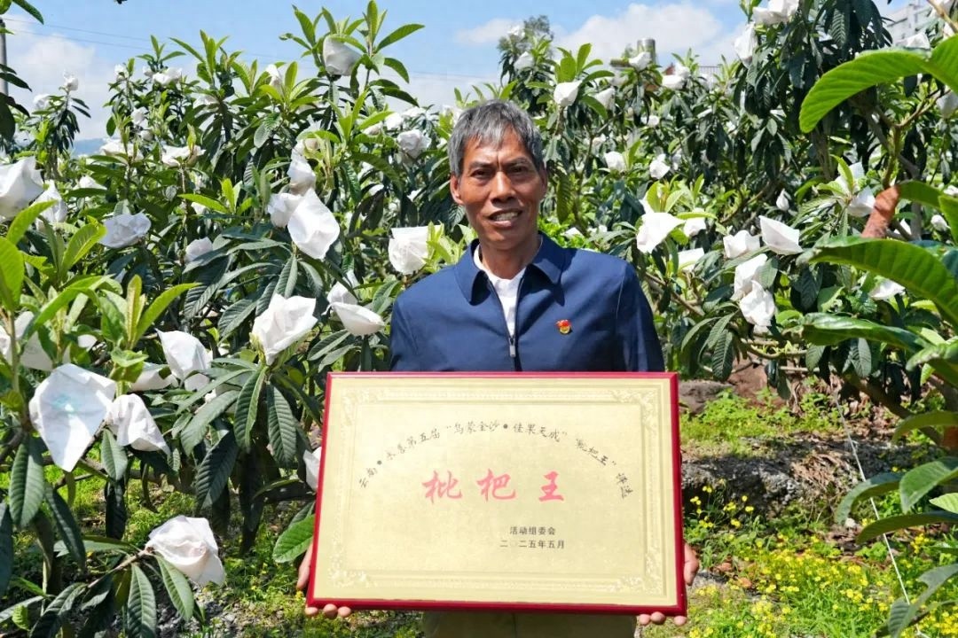 县城区要设应季枇杷临时销售点？时间、地点及要求都在这儿了