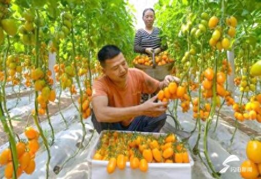到2027年山东农民人均可支配收入达3万以上？乡村富民产业新动作来了