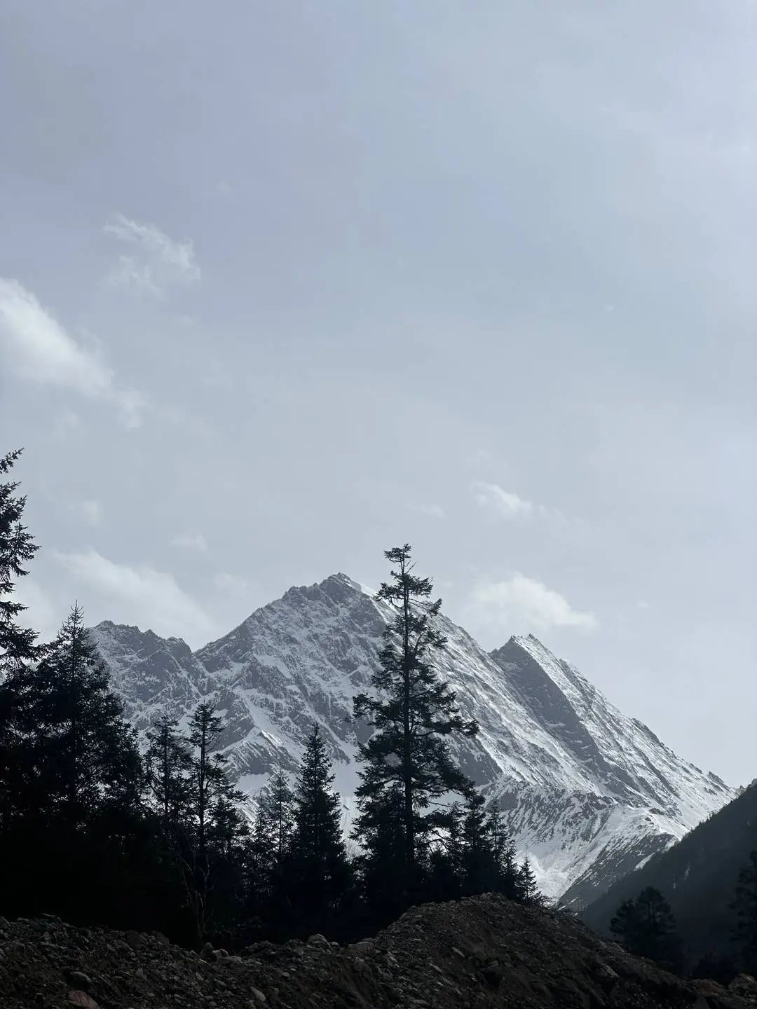 无腿小伙凭双手登顶夹金山！这勇气与坚韧谁能不被震撼？  第2张