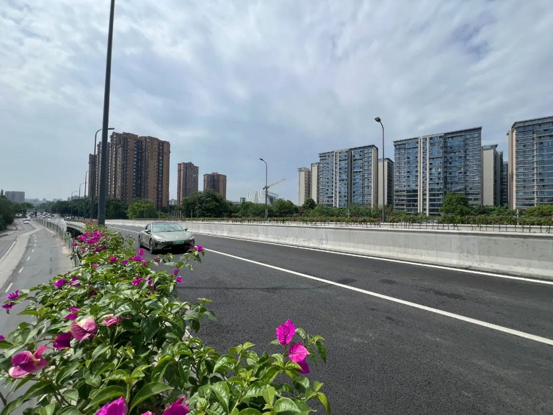 全长384.5米的珠江路跨桥通车！这对交通的改善有多大？  第3张