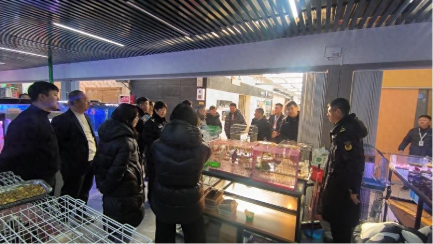 昆都仑区花鸟鱼虫市场惊现非法野生动物交易！你还在吃野味吗？  第1张