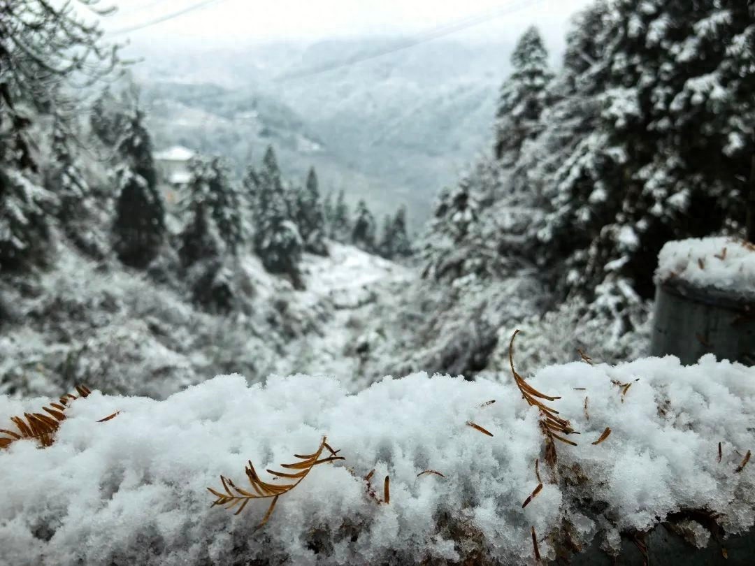 怀化多地迎来2025年初雪！主城区黄岩已换冬装，你那里下雪了吗？