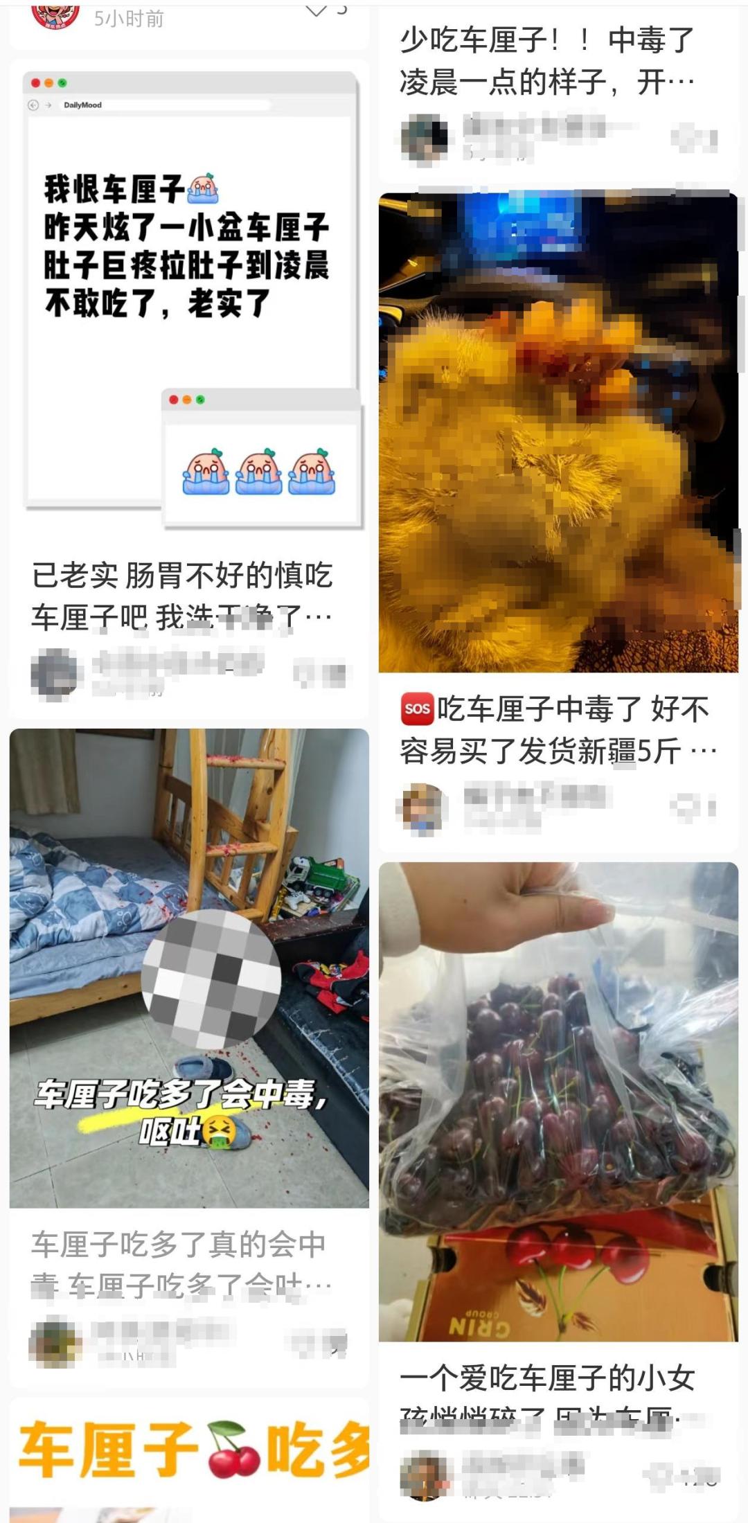 车厘子价格暴跌20%！你敢相信5斤车厘子竟让女子肿成悲伤蛙？  第5张