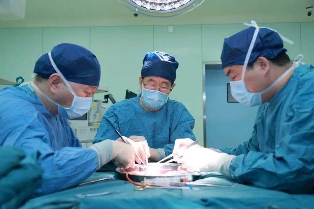 国际首例！基因编辑猪肝脏成功移植脑死亡患者，医学奇迹还是伦理挑战？  第2张