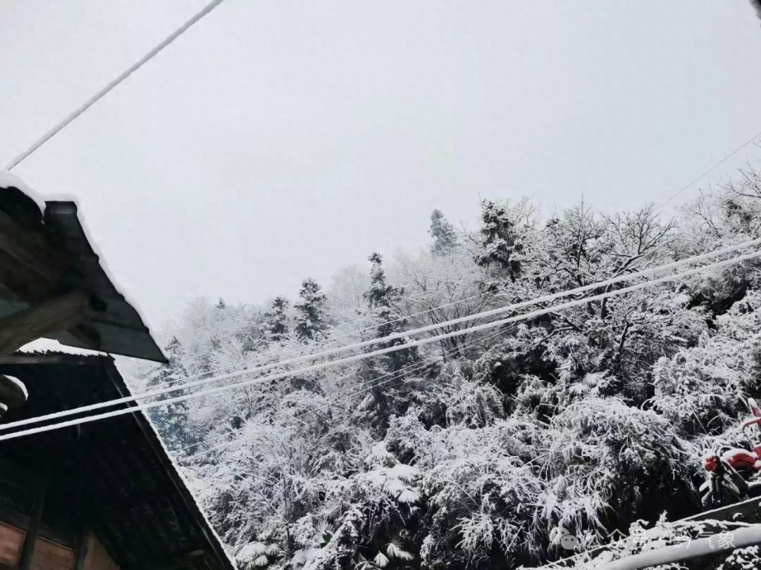2025年贵州雪景大赏！这些地方的雪景美得让人窒息，你见过吗？