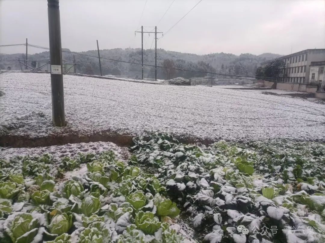 2025年贵州雪景大赏！这些地方的雪景美得让人窒息，你见过吗？  第4张