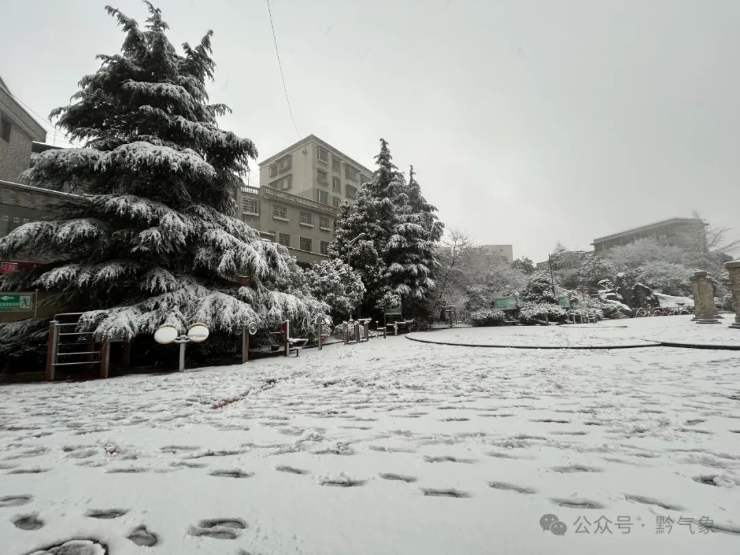 2025年贵州雪景大赏！这些地方的雪景美得让人窒息，你见过吗？  第6张