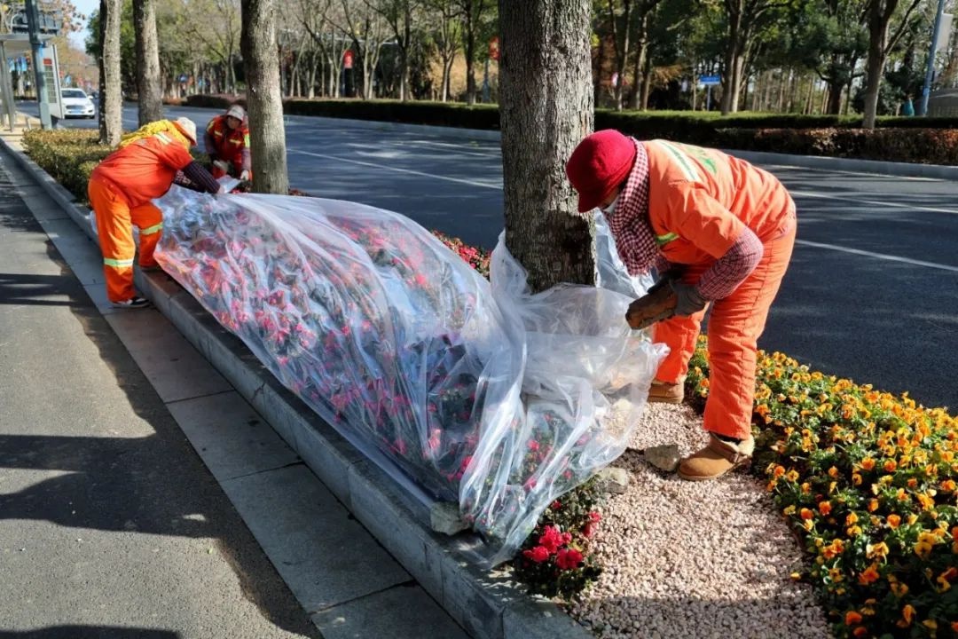 三九寒潮来袭，无锡最低气温将达-4℃！市民如何安稳度过？  第5张