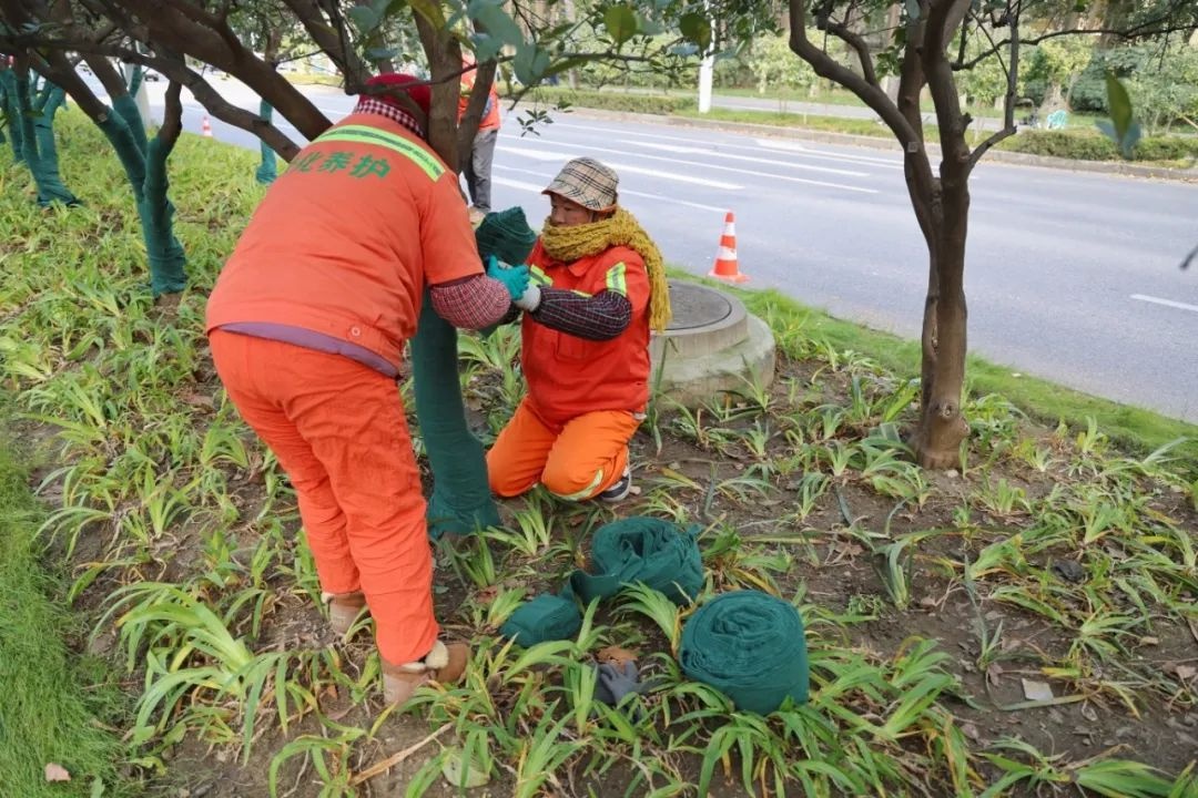 三九寒潮来袭，无锡最低气温将达-4℃！市民如何安稳度过？  第8张