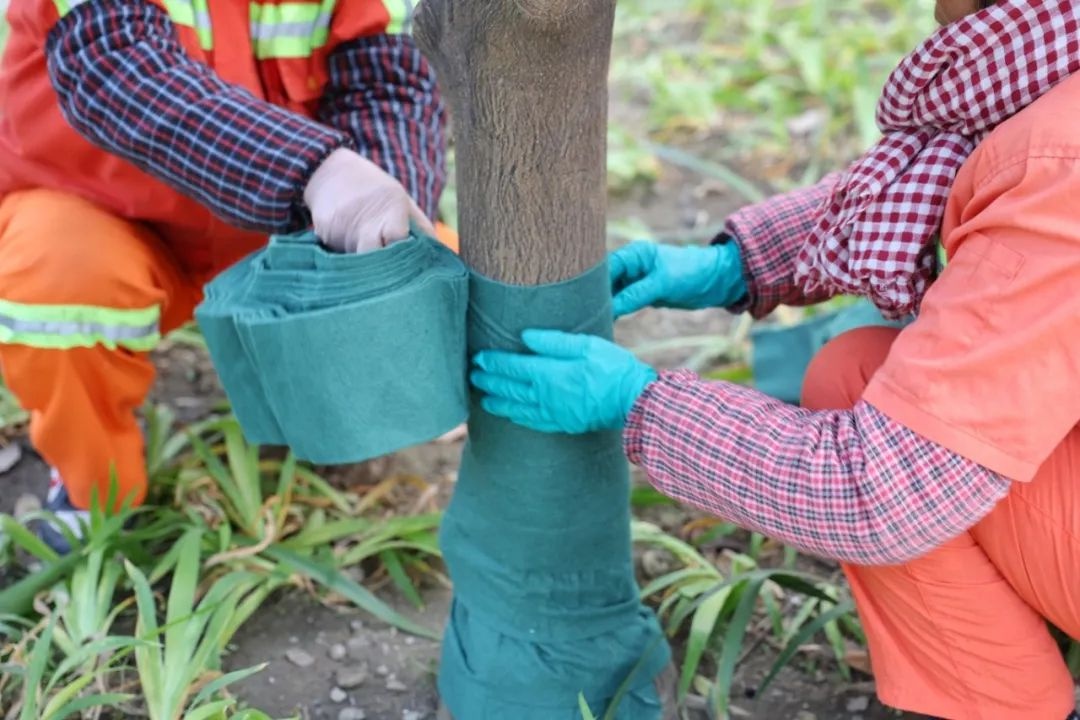 三九寒潮来袭，无锡最低气温将达-4℃！市民如何安稳度过？  第9张