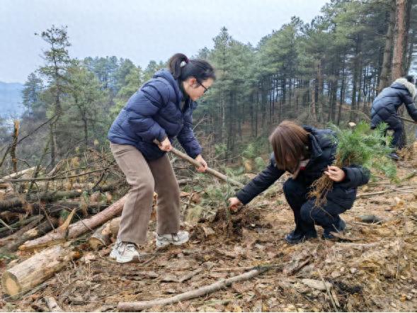 春回大地，植树添绿正当时！青山苗族乡如何以实际行动践行绿色发展理念？  第1张