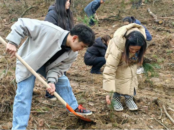 春回大地，植树添绿正当时！青山苗族乡如何以实际行动践行绿色发展理念？  第2张