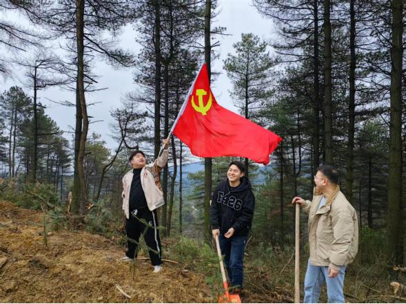 春回大地，植树添绿正当时！青山苗族乡如何以实际行动践行绿色发展理念？  第3张